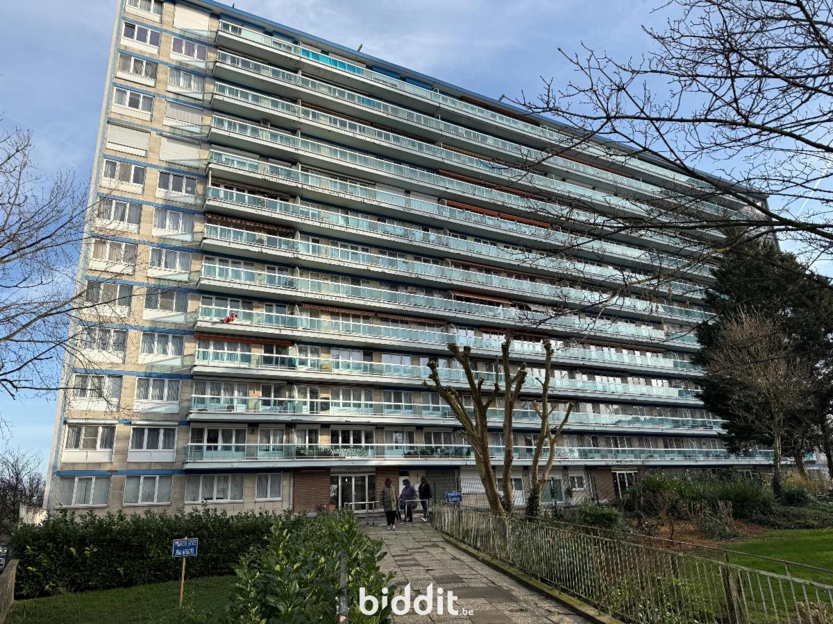 Image de présentation du bien n° 295052