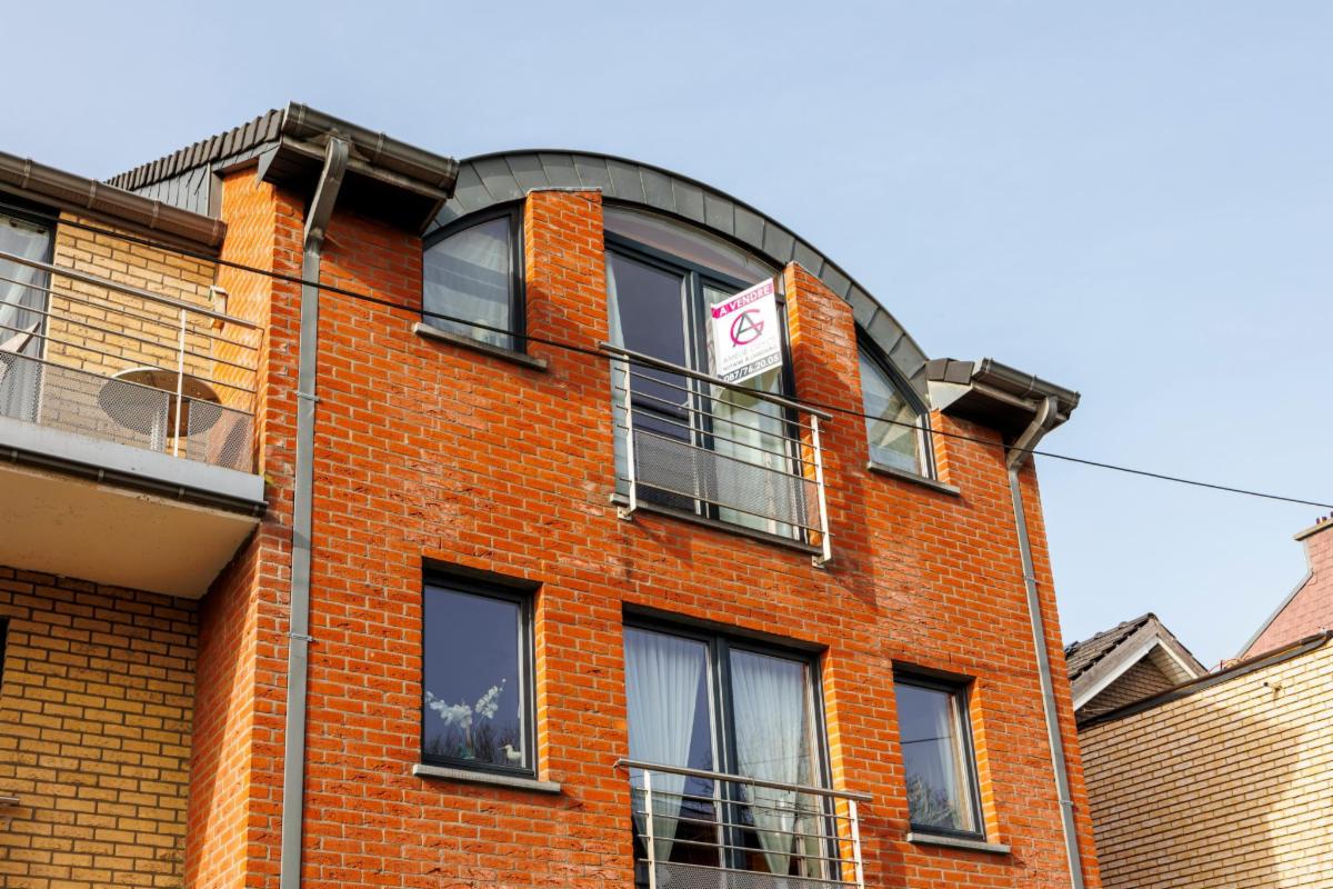 Image de présentation du bien n° 294260