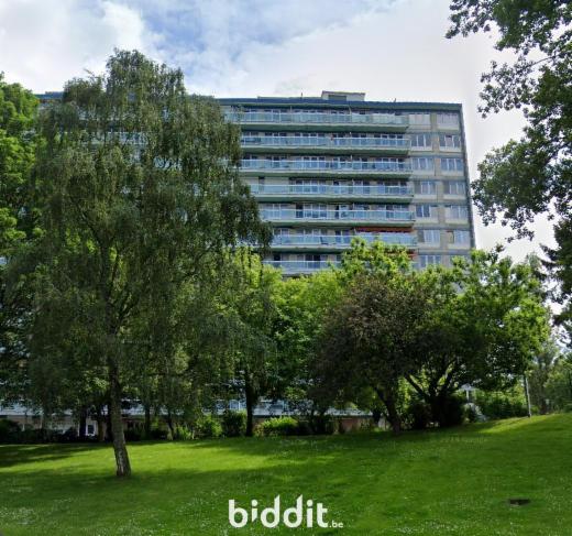 Image de présentation du bien n° 295411