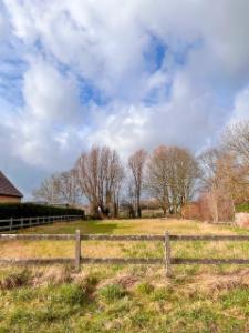 Troisième photo alternative du bien