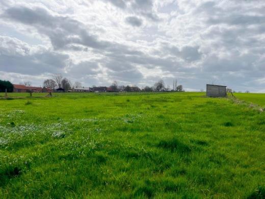 Image de présentation du bien n° 294178