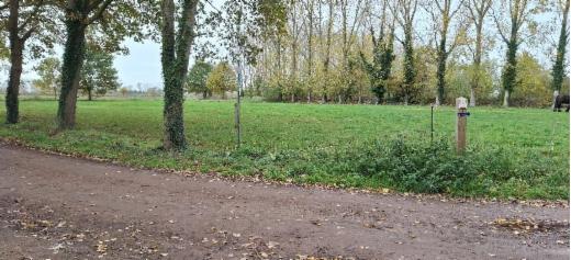 Troisième photo alternative du bien