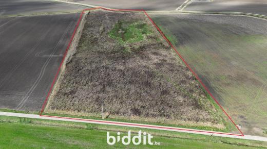 Image de présentation du bien n° 289917