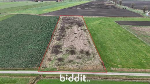 Image de présentation du bien n° 289922