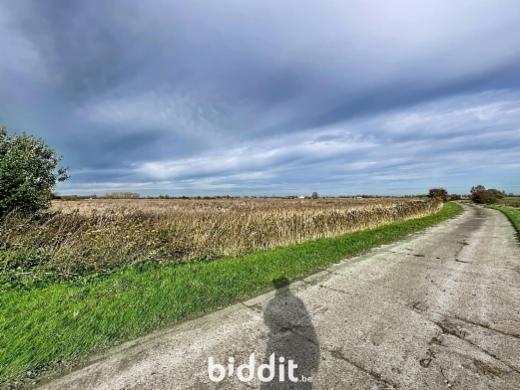 Troisième photo alternative du bien