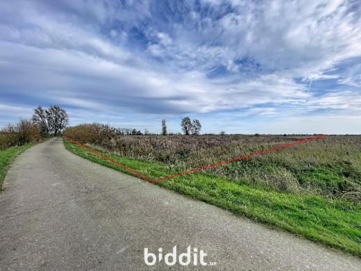 Image de présentation du bien n° 289925