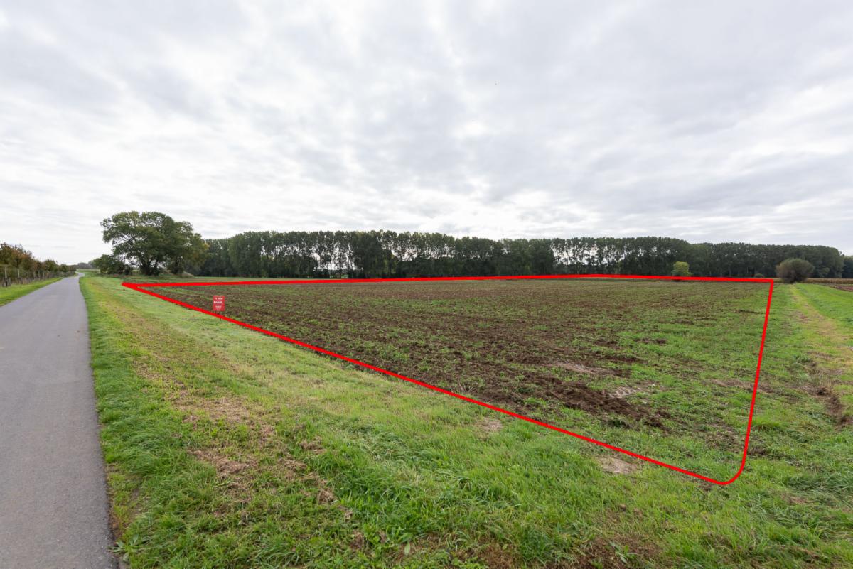 Image de présentation du bien n° 302643