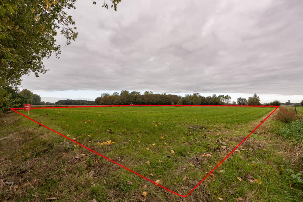 Image de présentation du bien n° 302644