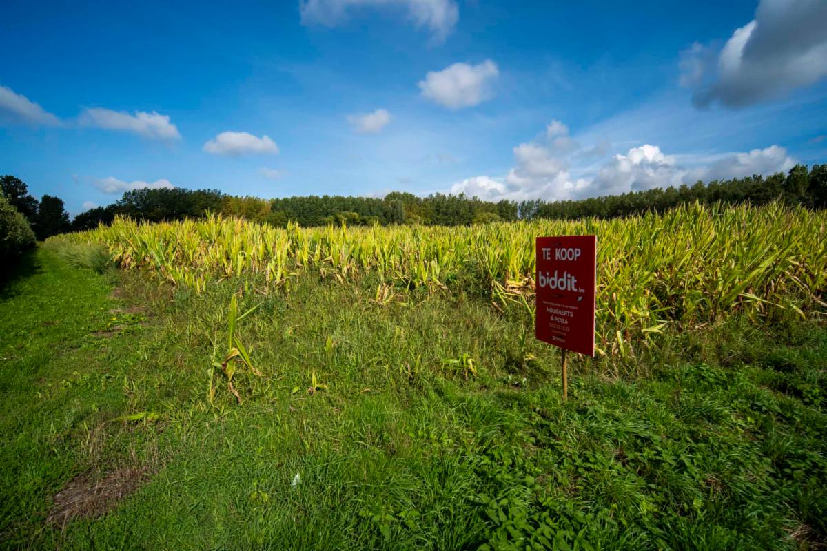 Image de présentation du bien n° 301196