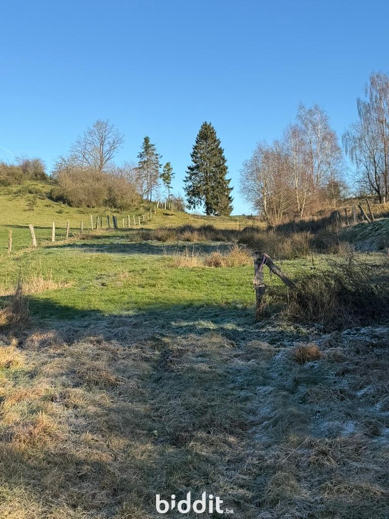 Image de présentation du bien n° 291377