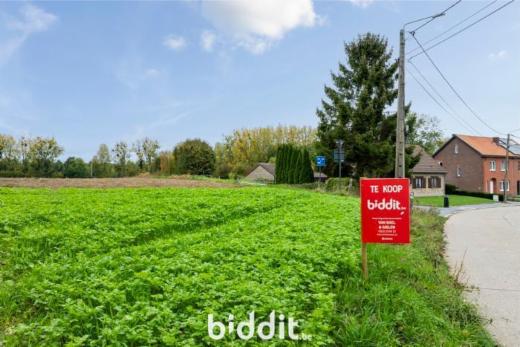 Première photo alternative du bien