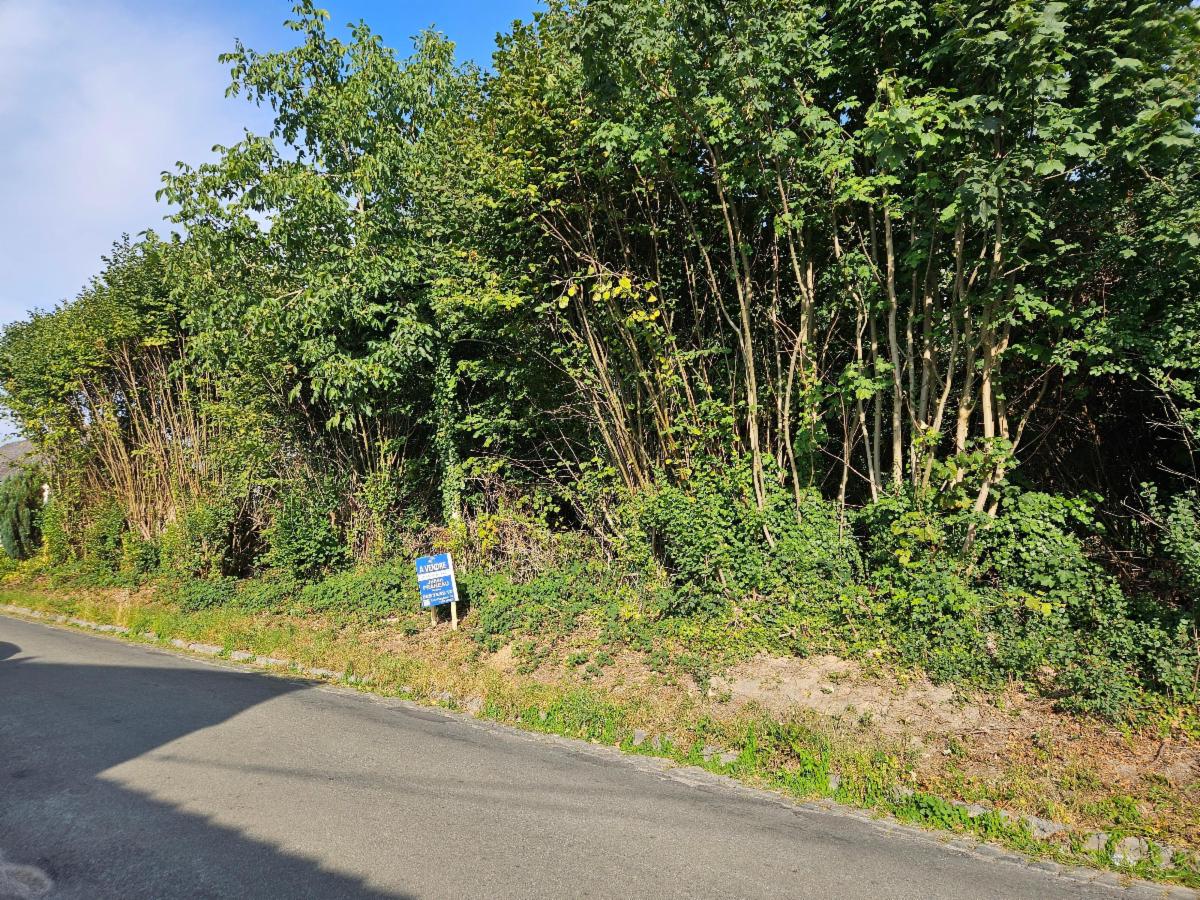 Image de présentation du bien n° 285666