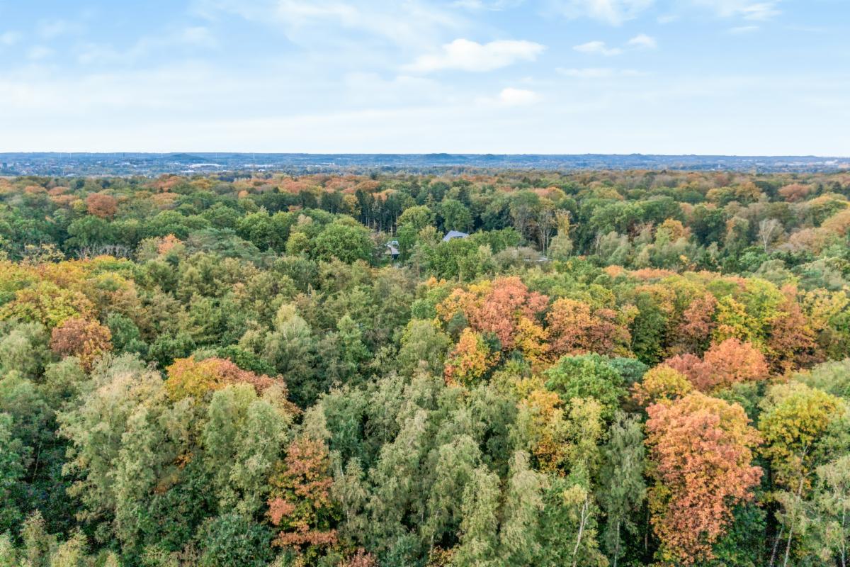 Image de présentation du bien n° 303749