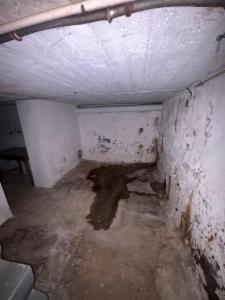 Troisième photo alternative du bien