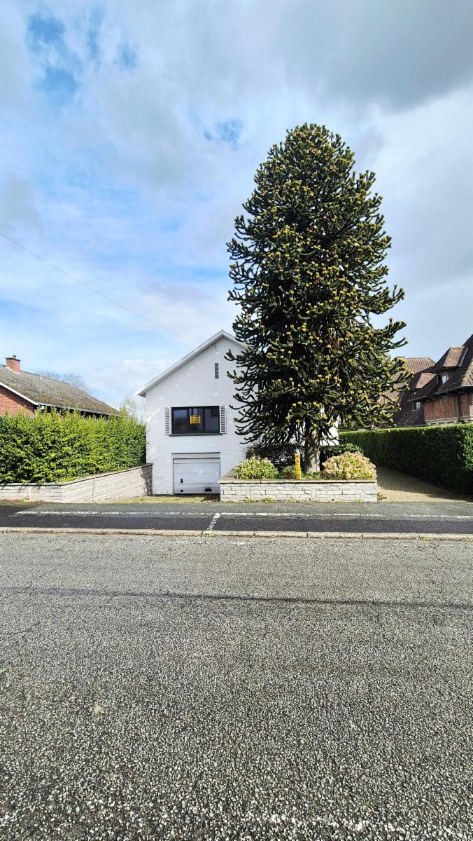 Image de présentation du bien n° 294793