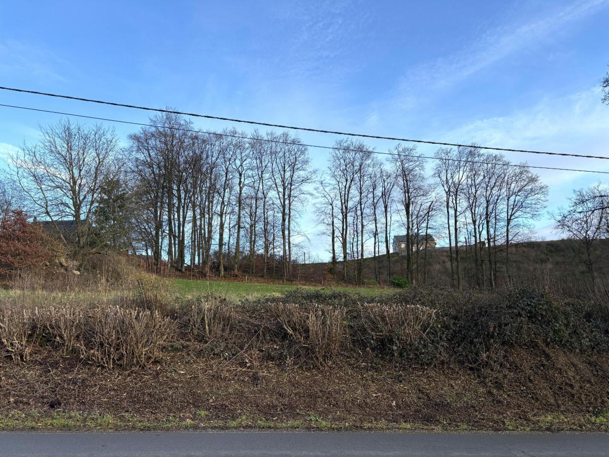 Image de présentation du bien n° 293021