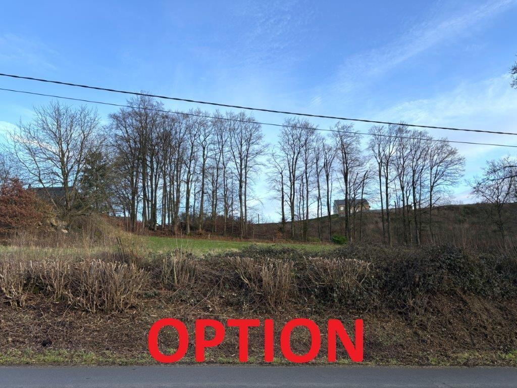 Image de présentation du bien n° 293021