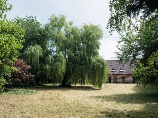 Image de présentation du bien n° 291682