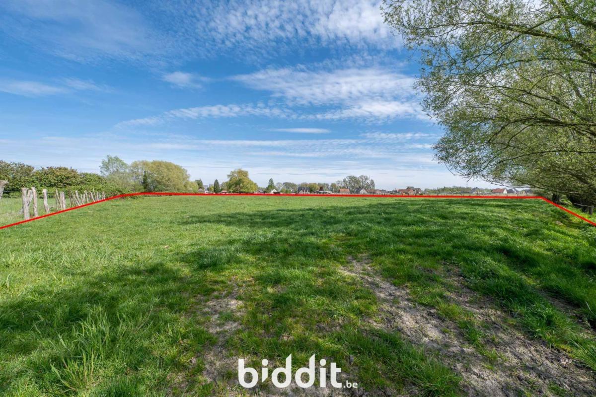 Image de présentation du bien n° 295118