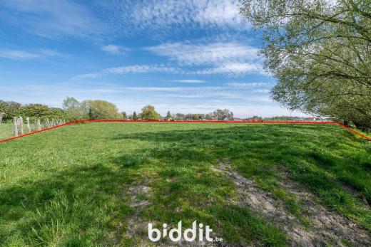 Image de présentation du bien n° 295118