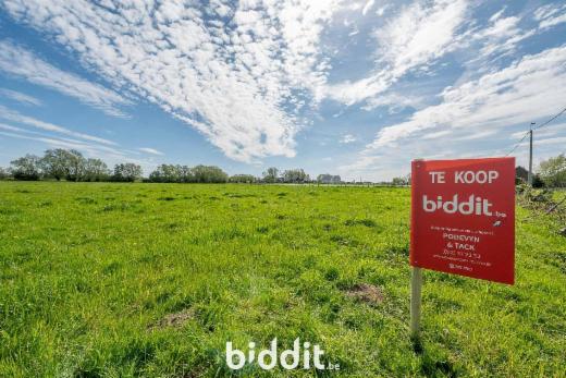 Image de présentation du bien n° 295119