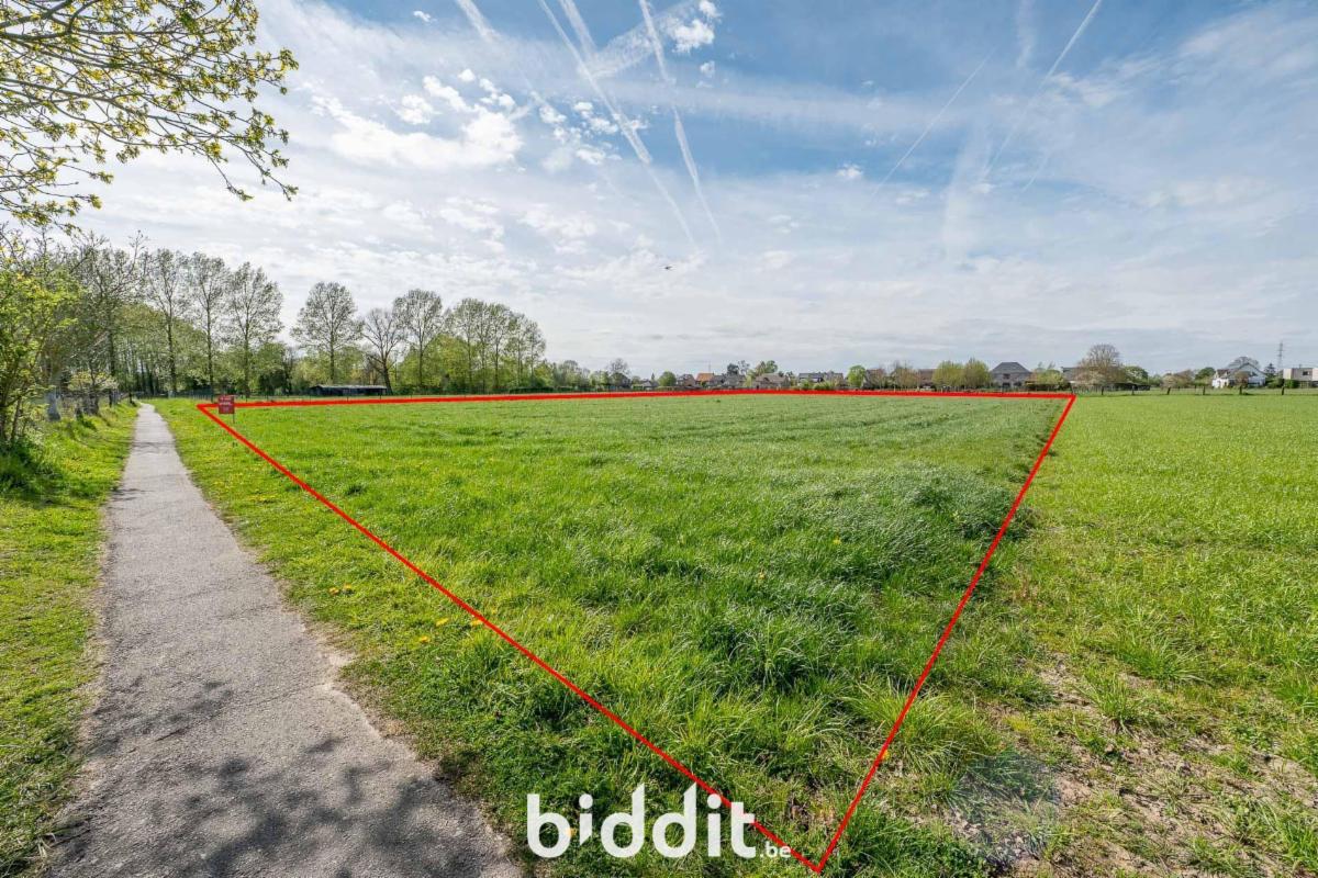 Image de présentation du bien n° 295122