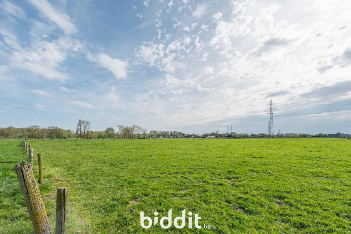 Image de présentation du bien n° 295123