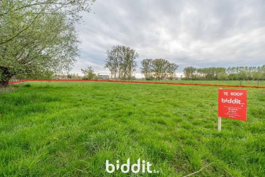 Image de présentation du bien n° 295125