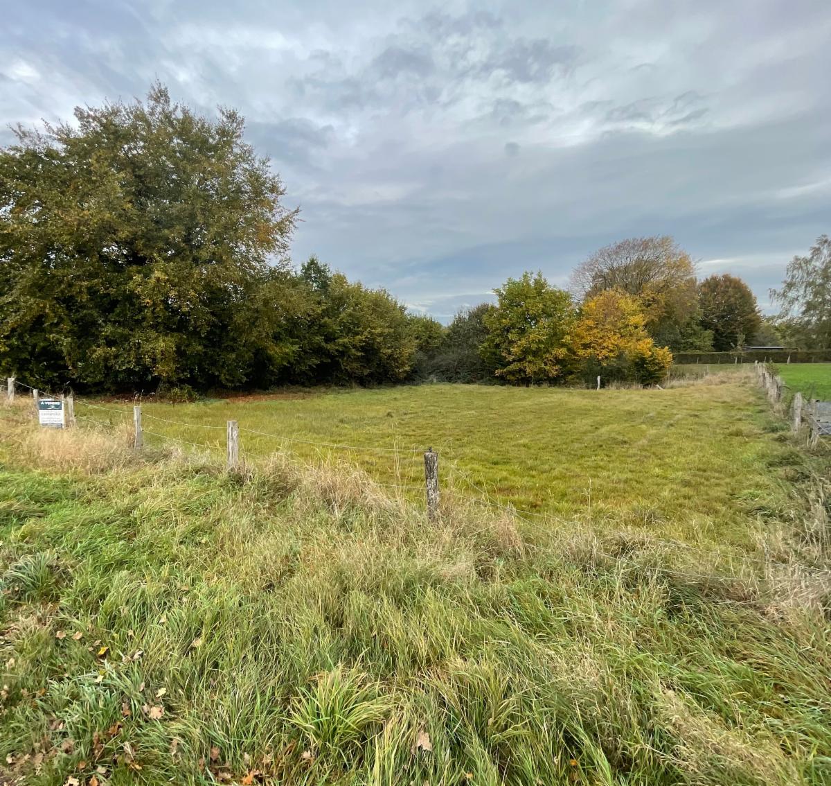 Image de présentation du bien n° 303452