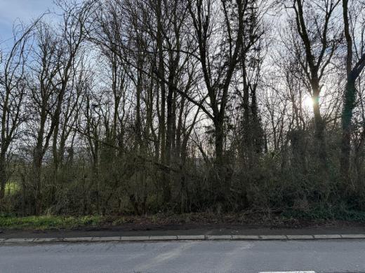 Image de présentation du bien n° 292094