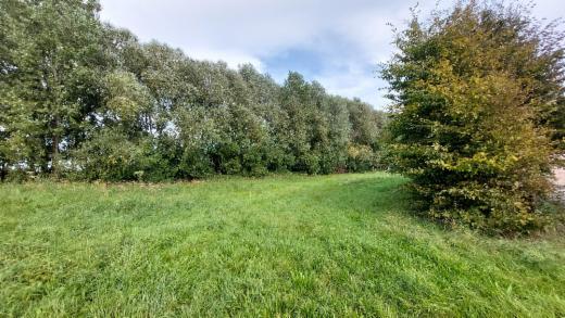 Image de présentation du bien n° 295333