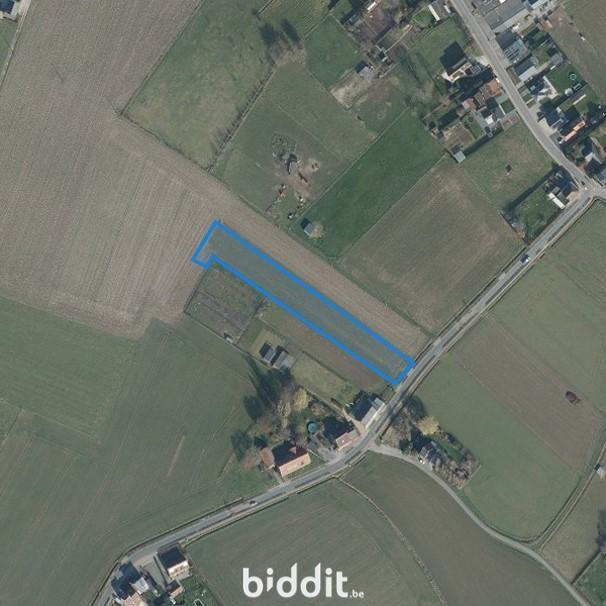 Image de présentation du bien n° 299382