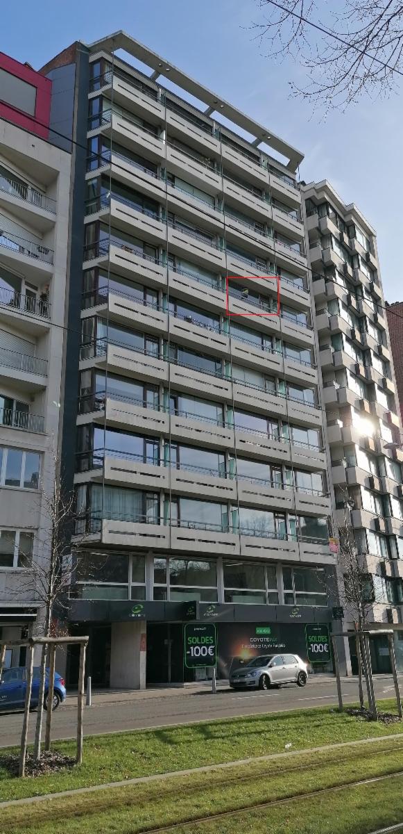 Image de présentation du bien n° 291949