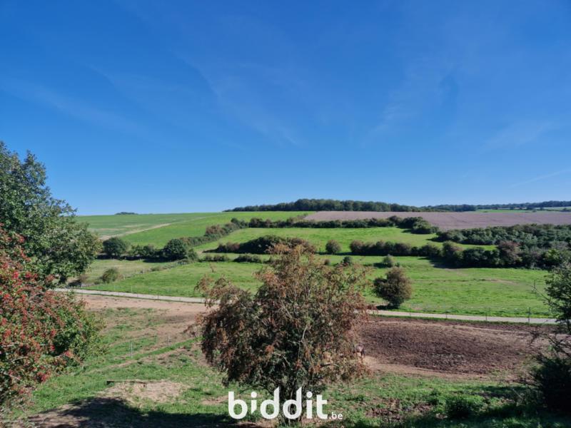 Image de présentation du bien n° 298548