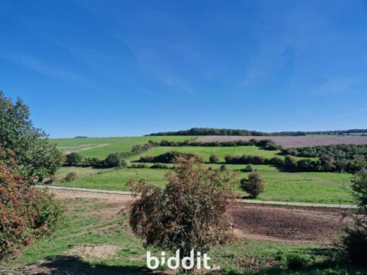 Image de présentation du bien n° 298548