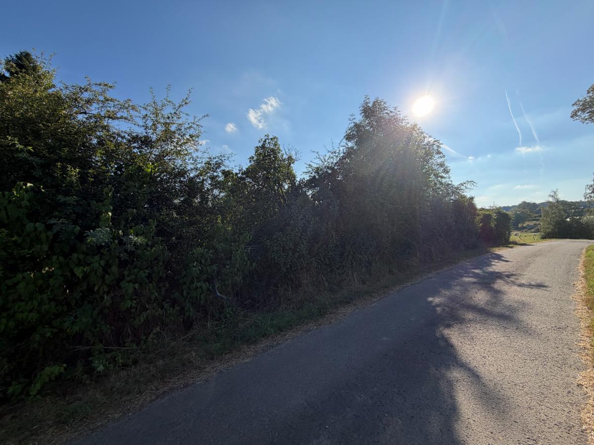 Image de présentation du bien n° 301819