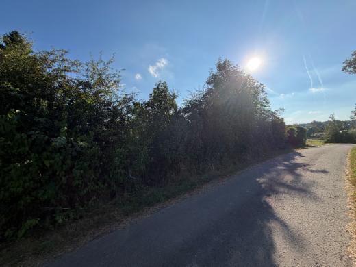 Image de présentation du bien n° 301819