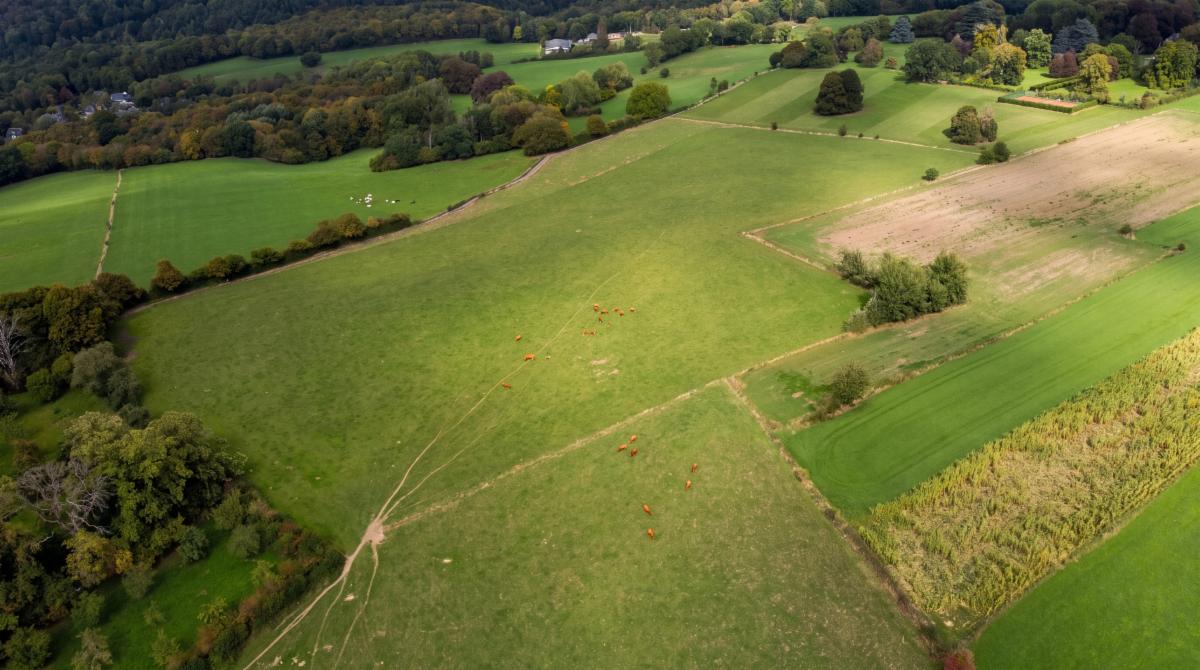 Image de présentation du bien n° 301443
