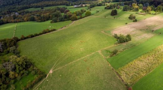 Image de présentation du bien n° 301443