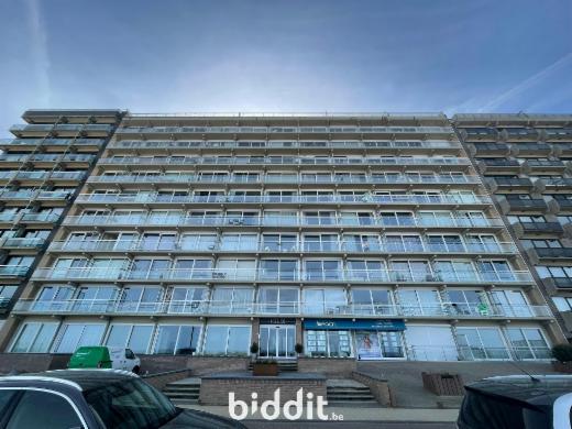 Image de présentation du bien n° 296070