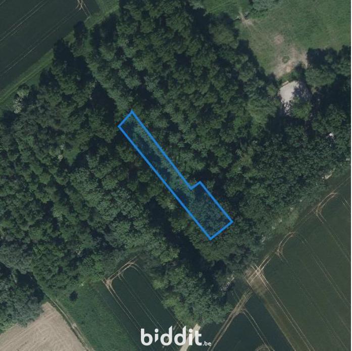 Image de présentation du bien n° 291647