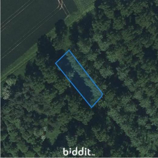 Image de présentation du bien n° 291658