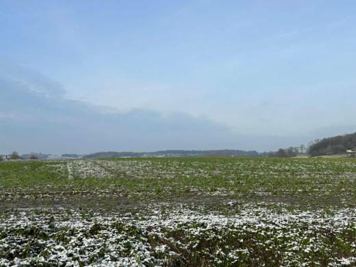 Troisième photo alternative du bien