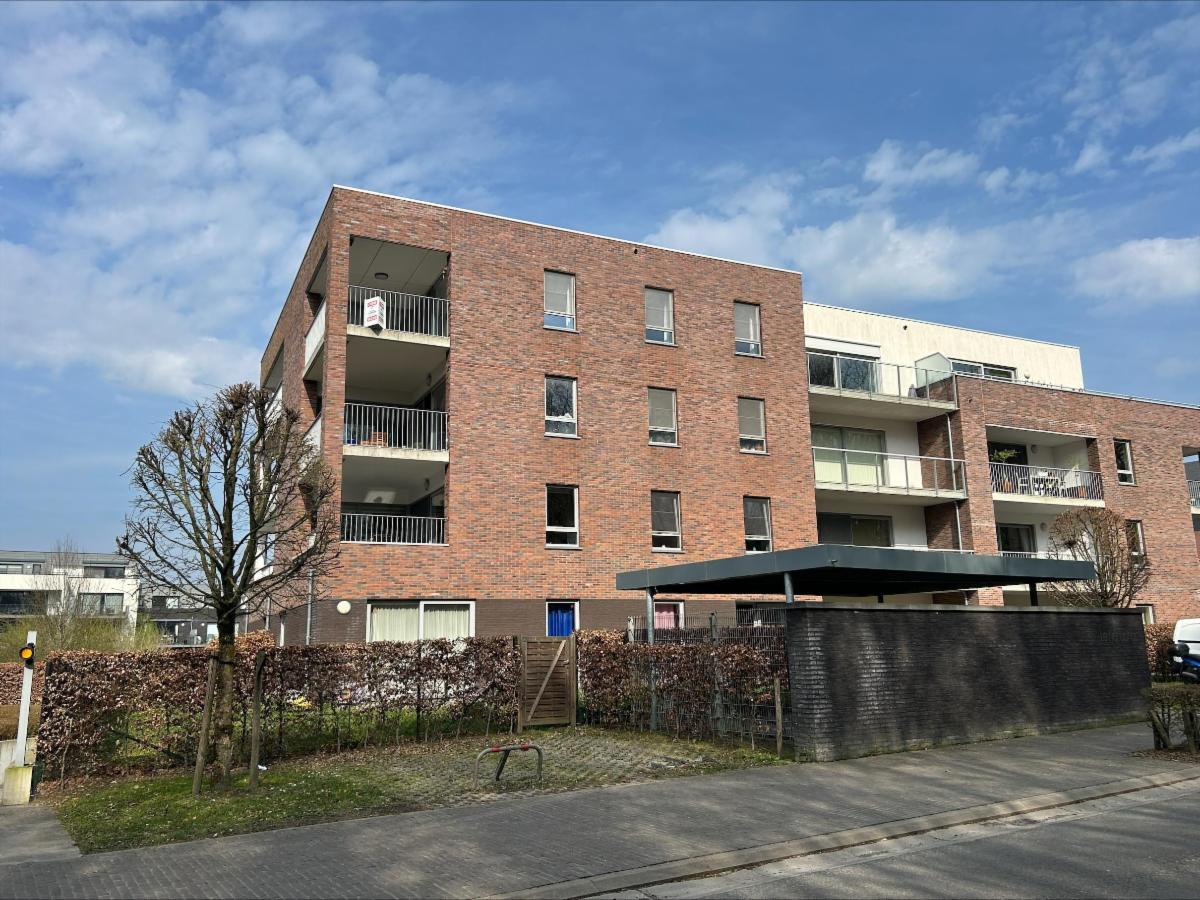 Image de présentation du bien n° 294523