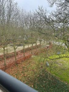 Première photo alternative du bien