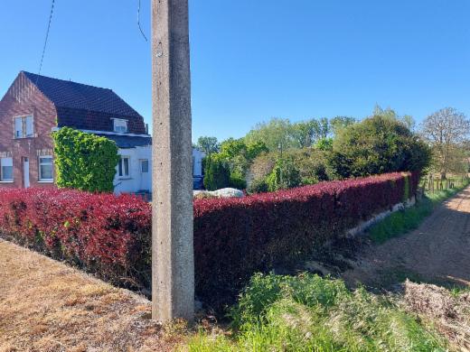 Image de présentation du bien n° 298524