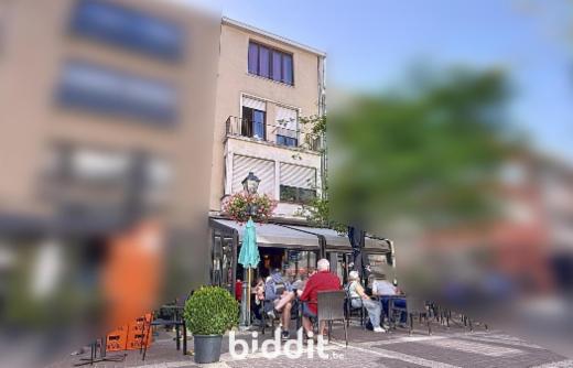 Image de présentation du bien n° 285500