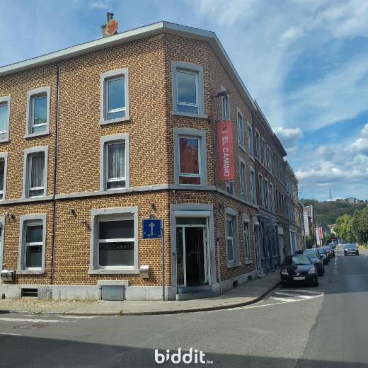 Image de présentation du bien n° 299463