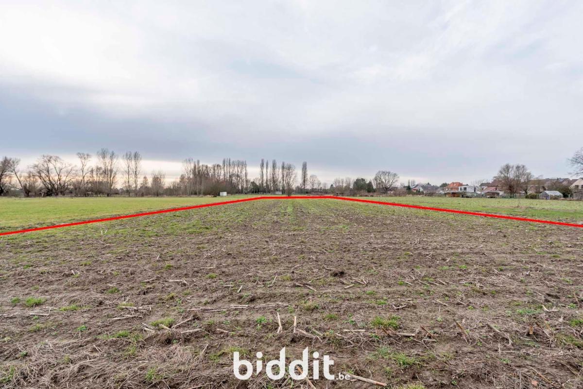 Image de présentation du bien n° 292750