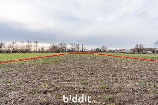 Image de présentation du bien n° 292750